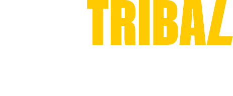 Live Soccer Scores